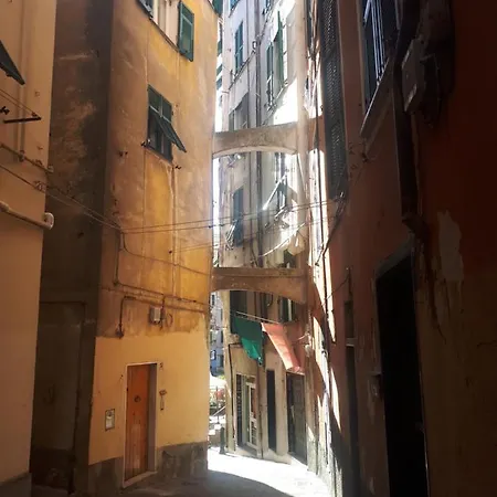 La Graziosa Del Carmine Genoa
